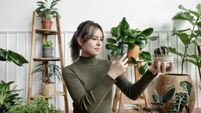 Tren Hobi Baru Tahun Ini: Tanaman Langka, Gaming VR, dan Kerajinan Miniatur