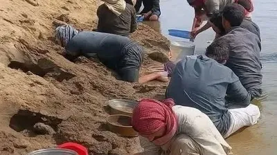 Demam Emas di Sungai Efrat: Fenomena Menarik di Raqqa, Suriah