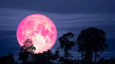 Fenomena Strawberry Moon dan Keunikannya di Tahun 2025