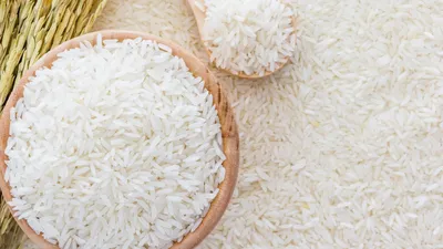Ketidakstabilan Harga Beras di Pasar Tradisional dan Dampaknya Terhadap Masyarakat