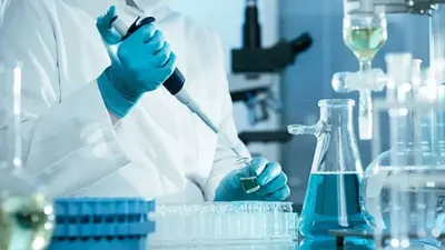 Pengembangan Vaksin mRNA Pertama untuk Melindungi Hewan Ternak dari PMK di Australia