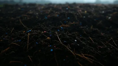 Mikroplastik: Ancaman Serius bagi Tanah dan Lingkungan