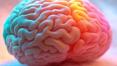 Fakta Menarik Tentang Tubuh Manusia yang Harus Kamu Tahu
