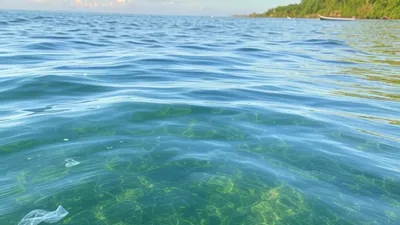 Perubahan Warna Laut di Indonesia: Ancaman dan Upaya Penyelesaian