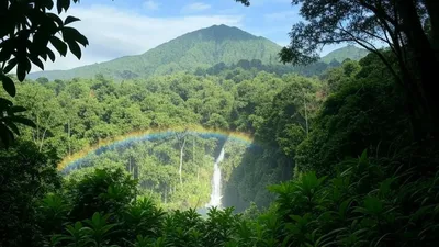 Menawarkan Keindahan Alam: Sembilan Tempat Wisata Alam di Bogor
