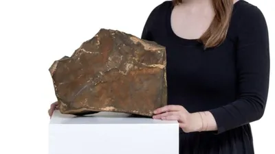 Meteorit Mars NWA-16788 Siap Dilelang, Memicu Kontroversi di Kalangan Ilmuwan