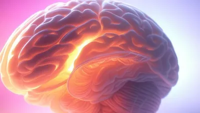 Neurogénesis: Penemuan Menarik tentang Kemampuan Otak Manusia di Usia Dewasa