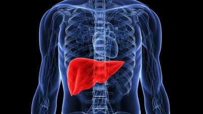Guru Besar Unair Soroti Mutasi Virus Hepatitis B dan SARS-CoV-2