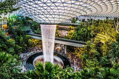 Turis Inggris Tepergok Mencuri di Bandara Changi