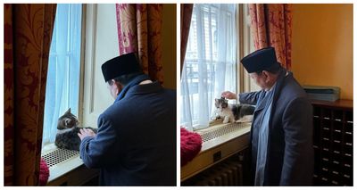 Presiden Prabowo Bertemu Kucing Larry the Cat , Diplomasi Gemas di Downing Street