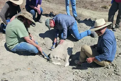 Mahasiswa di Texas Temukan Fosil Alamosaurus, Dinosaurus Raksasa yang Pernah Menguasai Amerika Utara