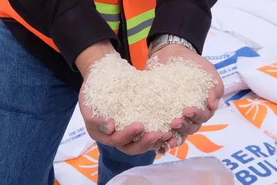 Pemerintah Belum Salurkan Beras Murah Bulog dan Bansos 10 Kg, Kenapa?