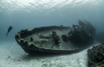Mengungkap Rahasia Kehidupan di Laut Dalam yang Masih Belum Terpecahkan