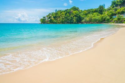 6 Arti Mimpi di Pantai Indah Menurut Primbon Jawa, Pertanda Apa?
