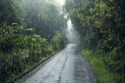 5 Arti Mimpi Hujan Deras Menurut Primbon Jawa, Tanda Rezeki atau Ujian?