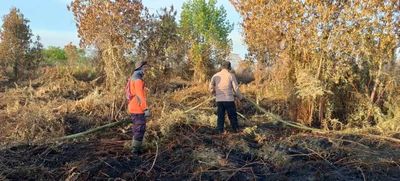 Kebakaran Hutan & Lahan Kembali Terjadi di Aceh Barat