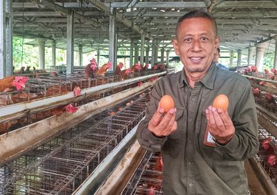 Emas dari Kandang: Budidaya Ayam Petelur sebagai Bisnis Rumahan yang Menjanjikan
