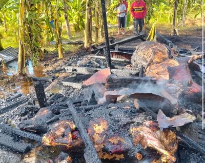 Kandang Sapi Terbakar di Aceh Besar, 2 Ekor Hangus Dilalap Api
