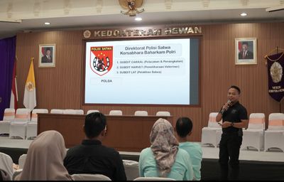 Peluang Karier Dokter Hewan Makin Terbuka Lebar, Alumni FKH UGM Ungkap Pengalaman di Berbagai Bidang