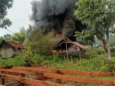 Sopir Truk di Papua Dihujani Tembakan Oleh KKB Hingga Terluka, TNI-Polri Bergerak!