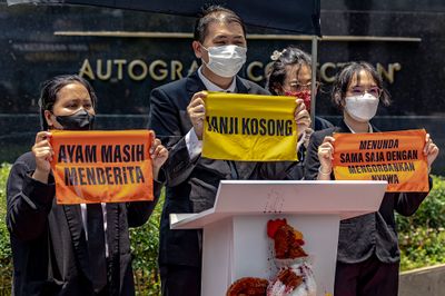 Aktivis Hak Hewan Tuntut Hotel Internasional Wujudkan Komitmen Telur Bebas Kandang di Asia