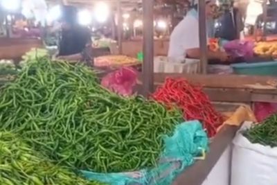 Harga Cabai Turun, Sembako Lain Stabil di Pasar Induk Angso Duo