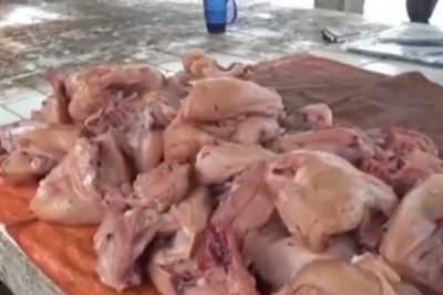 Harga Daging Ayam dan Ikan Laut Naik Drastis di Muaro Jambi