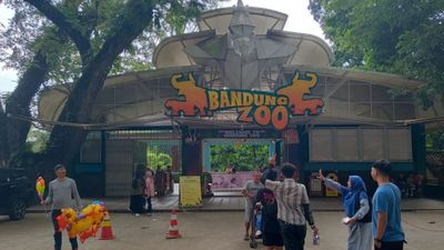 YMT Desak Pemkot Bandung Pastikan Pakan Satwa Bandung Zoo Selama Penutupan