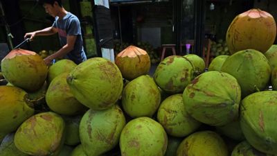 Ahli Gizi RSCM: Air Kelapa hingga Bubur Halus Bisa Bantu Redakan Gejala Keracunan