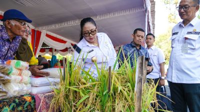 Semarak 18 Kelompok Tani Kapanewon Se-Gunungkidul Peringati Hari Tani Nasional 2025
