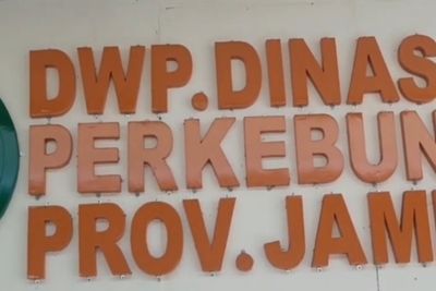 Jambi Terus Kembangkan Perkebunan Sawit Berkelanjutan
