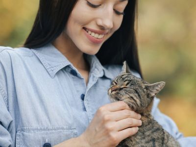 17 Ide Bio Instagram Pecinta Kucing yang Bikin Gemes