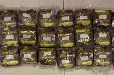Polda Metro Sita 24 Kg Sabu Jaringan Malaysia di Apartemen Pluit, Dikemas Jadi Kemasan Duren