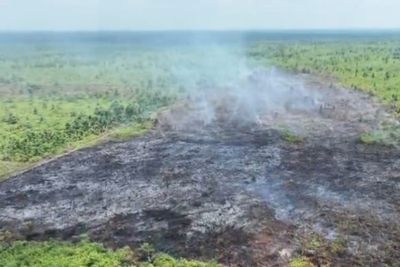 Status Siaga Karhutla di Muaro Jambi Diperpanjang Hingga 2 November 2025