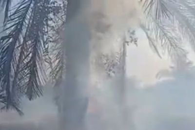 Total Lahan Terbakar di Tanjab Barat Capai 75 Hektare