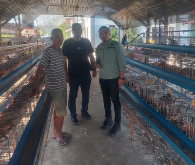 Kelompok Tani Merdeka Aceh Tamiang Dorong Desa Mandiri Lewat Bisnis Ayam Petelur