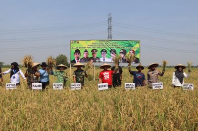 Bupati Cirebon Dorong Petani Tingkatkan Produktivitas Padi Jelang Hari Tani Nasional 2025