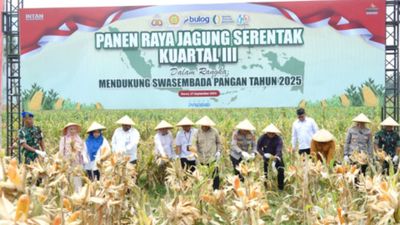 Bupati Garut Dampingi Kapolda Jabar Panen Jagung Serentak Kuartal III