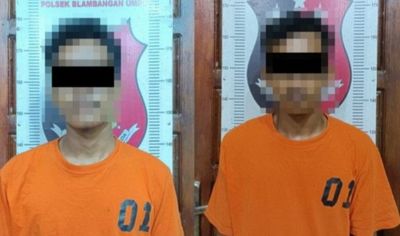 Terduga Dua Pelaku Pencuri Tandan Sawit di Lampung Dibekuk Polisi