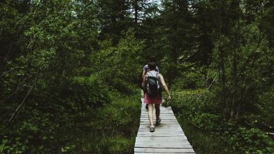 Forest Therapy: Meningkatkan Kesehatan Mental Melalui Alam di Indonesia
