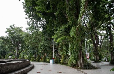 7 Wisata Taman di Surabaya yang Jadi Tempat Nongkrong Anak Gen Z dan Instagramable