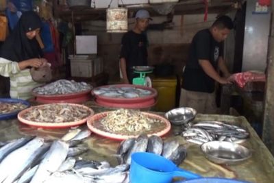 Tangkapan Laut Melimpah, Harga Kepiting Bakau di Kuala Tungkal Turun