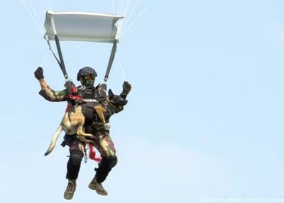 Atraksi TNI di HUT Ke-80: 80 Prajurit Kopassus Terjun Payung Bawa Anjing ke Monas