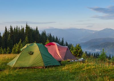 6 Tips Menyimpan Makanan Agar Tak Diserbu Satwa Liar saat Camping