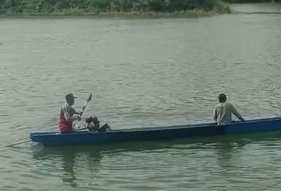 Wanita yang Diterkam Buaya di Sungai Lasolo Ditemukan Meninggal Dunia