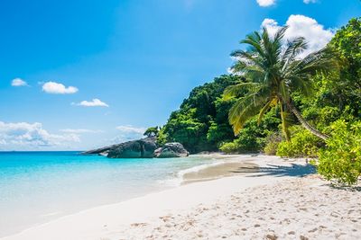 5 Pantai Pasir Putih Terbaik di Yogyakarta untuk Liburan Natal dan Tahun Baru 2025