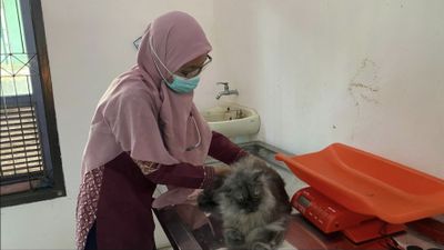 Hindari Rabies Dinperpa Kota Pekalongan Gelar Vaksin Antirabies Gratis