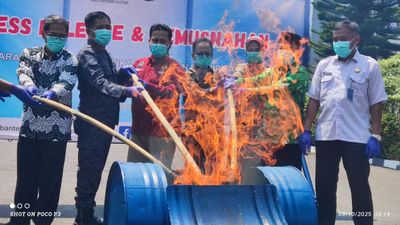 Barang Bukti Dua Kilogram Ganja Tanpa Tersangka Dimusnahkan BNNP Banten