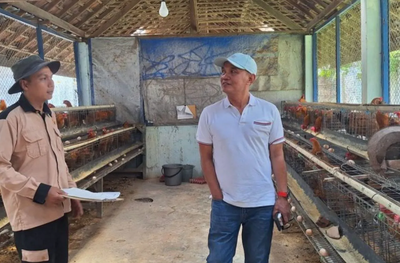 Sumanto Dorong Warga Kembangkan Usaha Ternak Ayam