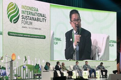 Freeport Indonesia Berencana Ganti PLTU Captive dengan LNG